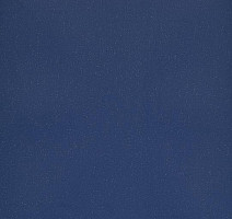 Линолеум Forbo Eternal Colour 40232 night фото 1 | FLOORDEALER